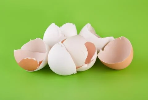 Group pieces of egg shell Stock Photos