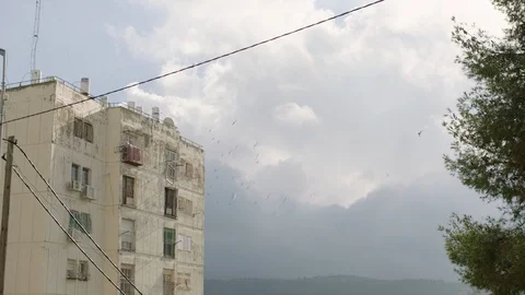 A group of pigeons fly in the sky of poverty neighborhood. Jerusalem, israel. Stock-Footage 104557754