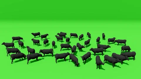 Group of Pigs Green Screen Stylized 3D Farm Animals Stock Footage 312972961