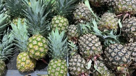Group of pineapples in a supermarket Stock Photos