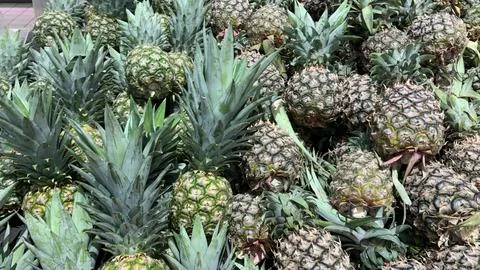 Group of pineapples in a supermarket Stock Photos