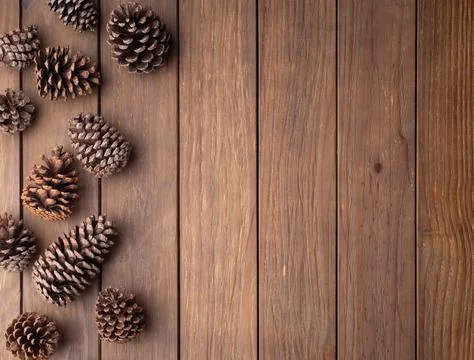 Group of pinecones over wooden table with copy space Stock Photos