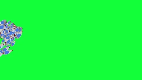 Group of plastic bottles animation, editable green screen -Chroma key Stock Footage 128985060