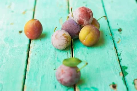 Group of plums on rustic turquose surface Stock Photos