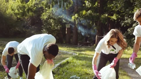 Group of positive multi-race activists in eco T-shirts collecting plastic Stock Footage 117630990