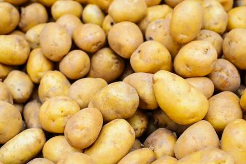 Group of potatoes Stock Photos