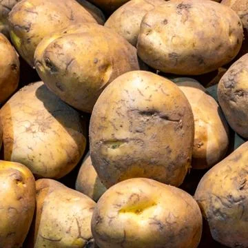 Group of potatoes Foto stock