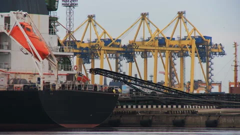 A group of powerful port cranes move cargo containers Stock Footage 92207826