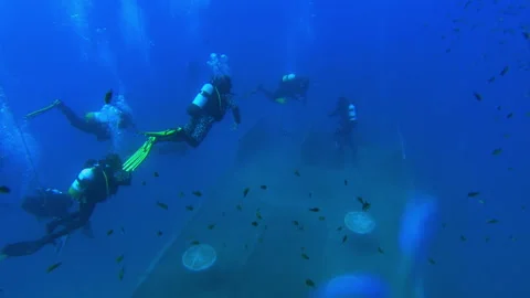 Group of professional scuba divers going underwater to explore shipwreck Stock Footage 132522178