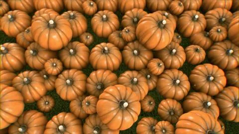 Group of pumpkin patch render  vegetable group with color background Stock Illustration