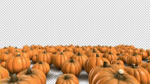 Group of pumpkin patch render  vegetable group  4K with color background 스톡 일러스트