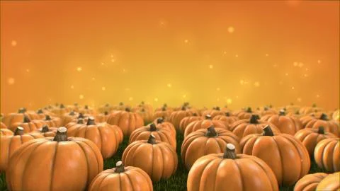 Group of pumpkin patch render  vegetable group  4K with color background 스톡 일러스트