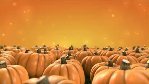 Group of pumpkin patch render  vegetable group  4K with color background 스톡 일러스트