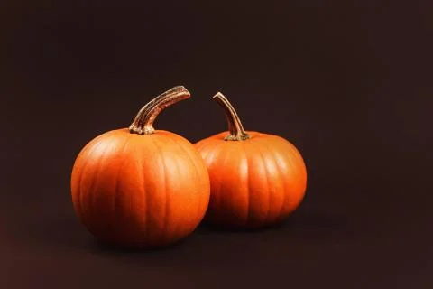 Group of pumpkins on dark background Foto stock