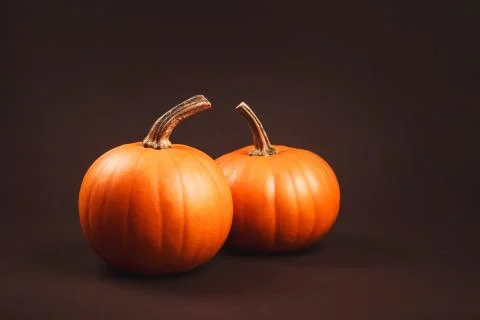 Group of pumpkins on dark background Stock Photos