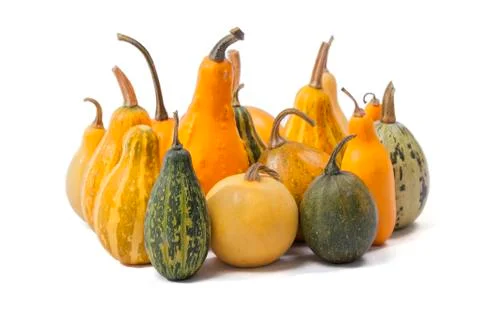 Group of pumpkins of different types and colors isolated Stock Photos