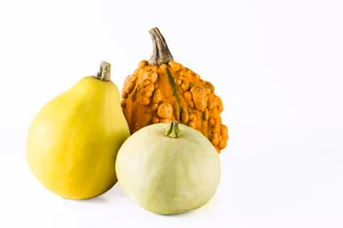 Group of pumpkins Stock Photos