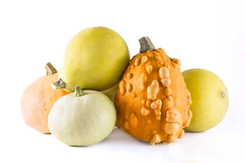 Group of pumpkins Stock Photos