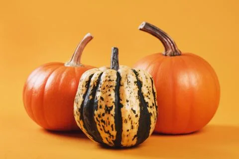 Group of pumpkins Stock Photos