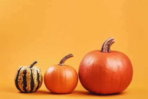 Group of pumpkins Stock Photos
