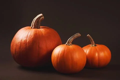Group of pumpkins Stock Photos