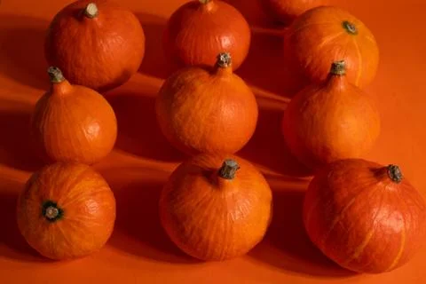 A group of pumpkins Stock Photos
