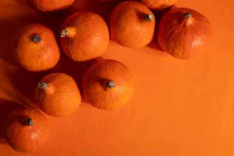 A group of pumpkins Stock Photos