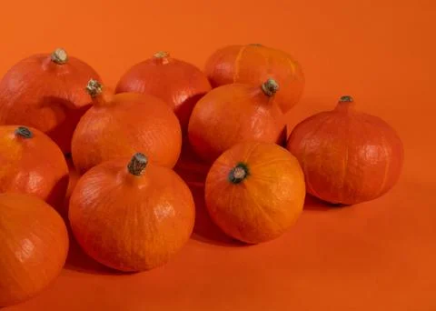 A group of pumpkins Stock Photos
