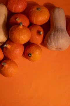 A group of pumpkins Stock Photos