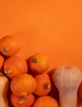 A group of pumpkins Stock Photos