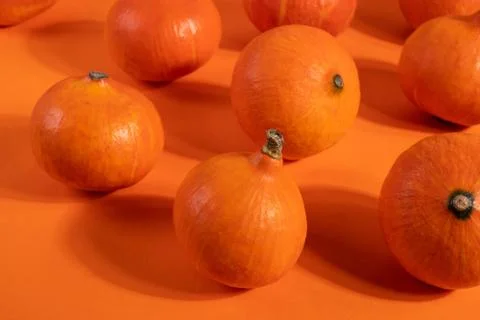 A group of pumpkins Stock Photos