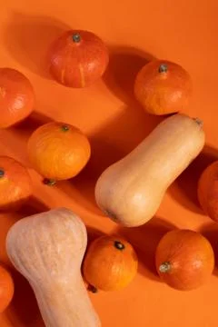 A group of pumpkins Stock Photos