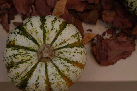 A group of pumpkins Stock Photos