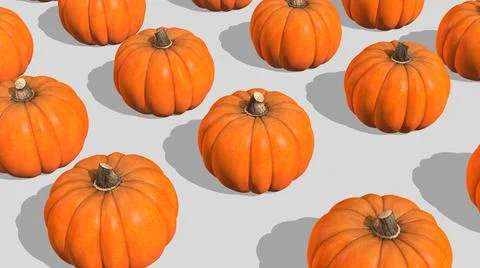 Group of pumpkins in a row. Illustration