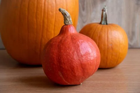Group of pumpkins on the table Stock Photos