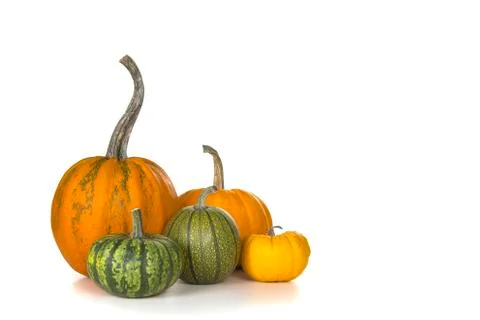 Group of pumpkins on a white background Stock Photos