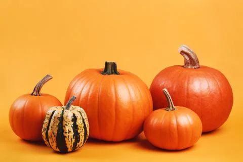 Group of pumpkins on yellow background Stock Photos