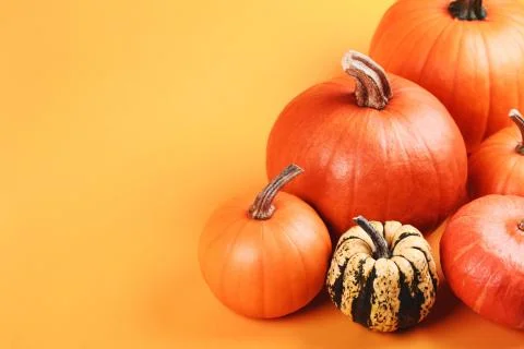 Group of pumpkins on yellow background Stock Photos