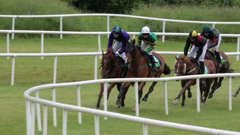 Group of race horses galloping around the track Stock Footage 197820017