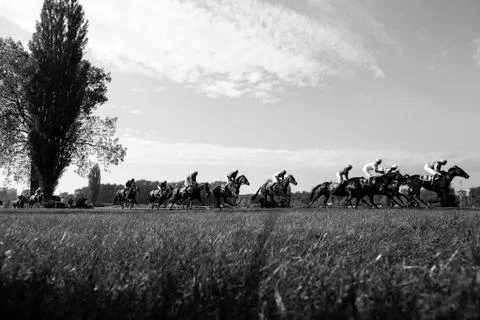 Group of racehorse riders gallops to the obstacle Stock Photos