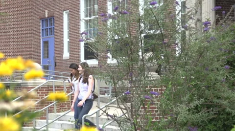 A group of racially-diverse students leave school - wide Stock Footage 44117358