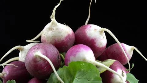 Group of radish rotate on a black background. Vidéo 201251406