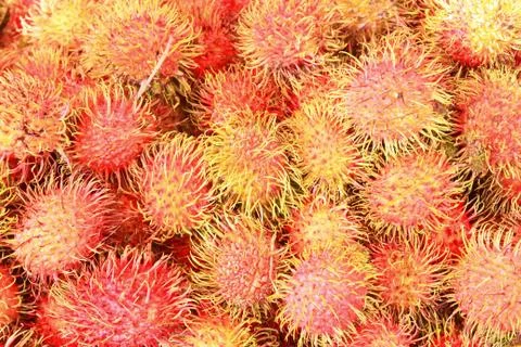 Group of rambutan.group lay as pattern Stock Photos