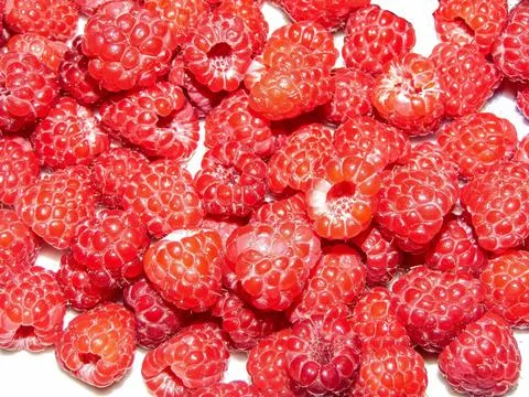 Group of raspberry fruit - closeup, macro Stock Photos
