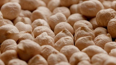 Group of raw chickpeas rotating in а circle Stock Footage 119896755