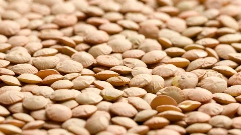 Group of raw lentils in motion Stock Footage 119963865
