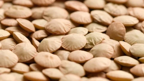 Group of raw lentils in motion Stock Footage 119964413