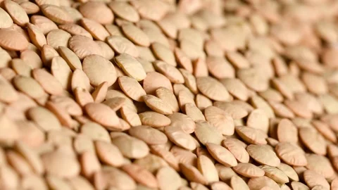 Group of raw lentils in motion Stock Footage 119966808