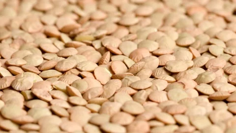 Group of raw lentils in motion Stock Footage 119967427