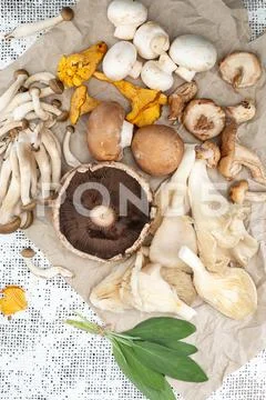 Group of raw mushrooms on brown bag and white background Stock Photos